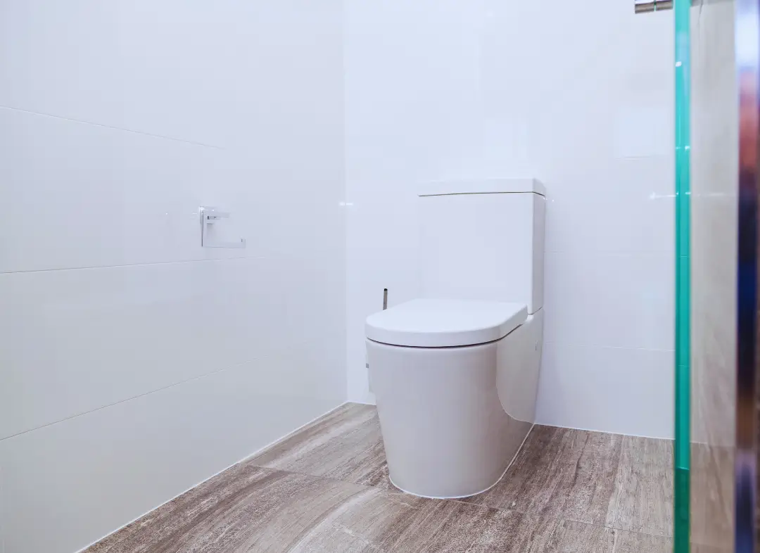 Remplacement de wc Camblanes-et-Meynac